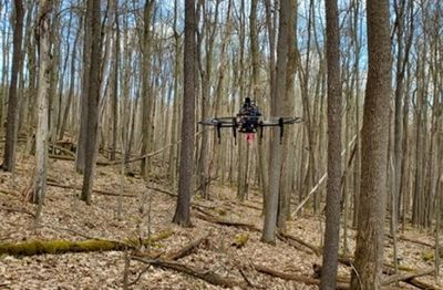 Drone in a forest